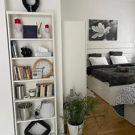 Superb Studio With Ac Plus 40 Sqm Terrace In The Greens Of Buda City Centre Budapešť Exteriér fotografie